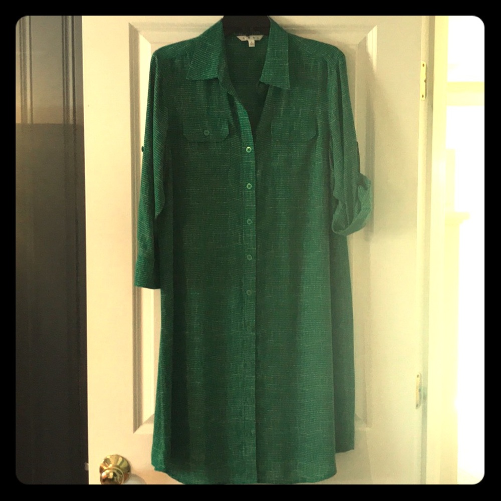 CAbi Green shirt tail Dress